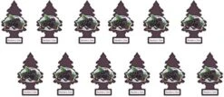 LITTLE TREES Car Air Freshener | Hanging Paper Tree For Home Or Car | Blackberry Clove | Pack Of 24 -Household Cleaning Supply Store 41AaV3KKIRL. AC