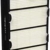 Holmes True HEPA Filter With Enhanced Mold Fighting Power, 2-Pack, White, 2 Count 1 Holmes True HEPA Filter With Enhanced Mold Fighting Power, 2-Pack, White, 2 Count -Household Cleaning Supply Store 41ApqOWiAZL