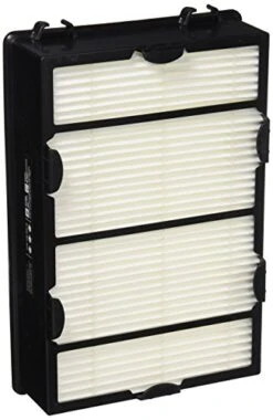Holmes True HEPA Filter With Enhanced Mold Fighting Power, 2-Pack, White, 2 Count