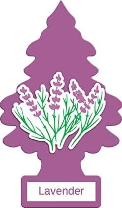 LITTLE TREES Car Air Freshener | Hanging Paper Tree For Home Or Car | Blackberry Clove | Pack Of 24 -Household Cleaning Supply Store 41S AQ6bOyL. AC