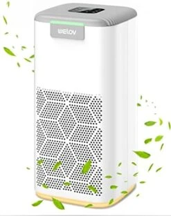 Air Purifiers For Home Large Room: Welov Air Purifiers For Pets Allergy, 1077 Sq Ft Coverage, Auto Mode, Removes 99.97% Of Pet Hair Dander Pollen Smoke Dust Odor, 23dB Air Purifiers For Bedroom, P200S -Household Cleaning Supply Store 41gqGVFFMcL. AC