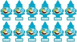 LITTLE TREES Car Air Freshener | Hanging Paper Tree For Home Or Car | Blackberry Clove | Pack Of 24 -Household Cleaning Supply Store 514sRBw VpL. AC