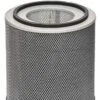 Austin Air FR450B Healthmate Plus Standard Replacement Filter, White