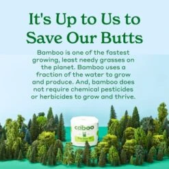 Caboo Tree Free Bamboo Paper Towels, 8 Rolls, Earth Friendly Sustainable Kitchen Paper Towels With Strong 2 Ply 12 Caboo Tree Free Bamboo Paper Towels, 8 Rolls, Earth Friendly Sustainable Kitchen Paper Towels With Strong 2 Ply -Household Cleaning Supply Store 51FJURXtw6L