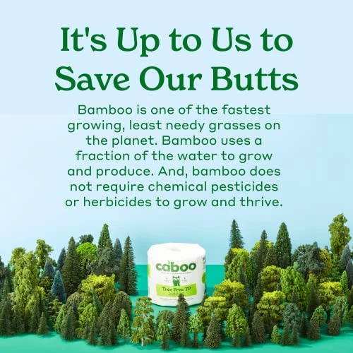 Caboo Tree Free Bamboo Paper Towels, 8 Rolls, Earth Friendly Sustainable Kitchen Paper Towels With Strong 2 Ply 6 Caboo Tree Free Bamboo Paper Towels, 8 Rolls, Earth Friendly Sustainable Kitchen Paper Towels With Strong 2 Ply - Image 4