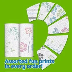 Bounty Select-A-Size, 2x More Absorbent 2-ply 74 Sheets Paper Towel Big Roll - 2-Pack -Household Cleaning Supply Store 51FOBAYaUgL