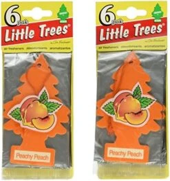 LITTLE TREES Car Air Freshener | Hanging Paper Tree For Home Or Car | Blackberry Clove | Pack Of 24 -Household Cleaning Supply Store 51H6qBzO hL. AC