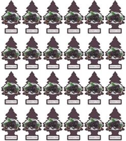 LITTLE TREES Car Air Freshener | Hanging Paper Tree For Home Or Car | Blackberry Clove | Pack Of 24 -Household Cleaning Supply Store 51VqRkQ8nfL. AC