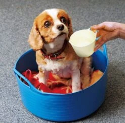 TubTrug SP15P Shallow Purple Flex Tub, 15 Liter