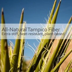 Redecker Tampico Fiber Scrub Brush With Untreated Beechwood Handle, 6-1/2 Inches, Durable Natural Bristles Are Heat-Resistant And Retain Shape, Made In Germany -Household Cleaning Supply Store 51iabTeZlHL