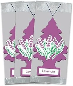 LITTLE TREES Car Air Freshener | Hanging Paper Tree For Home Or Car | Blackberry Clove | Pack Of 24 -Household Cleaning Supply Store 51qhoAFsRXL. AC